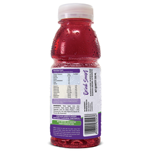 Load image into Gallery viewer, Blueberry Fruit, (Pack of 12/24)
